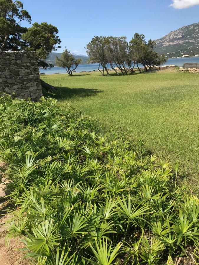 Porto Rotondo Lovely Apartment מראה חיצוני תמונה